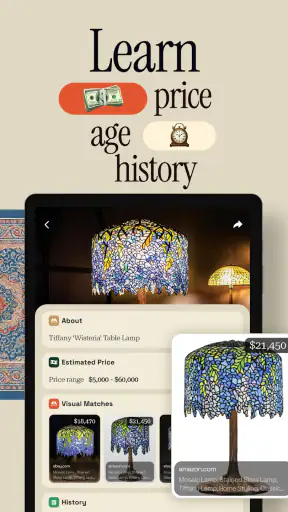 Antique Identifier Zophi screenshot 9