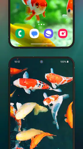 3D Aquarium Live Wallpaper screenshot 5