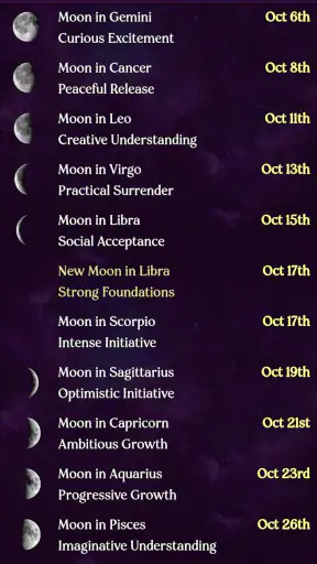 AstroMatrix Birth Horoscopes screenshot 2