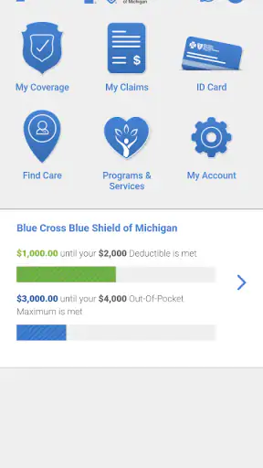 BCBSM screenshot 2