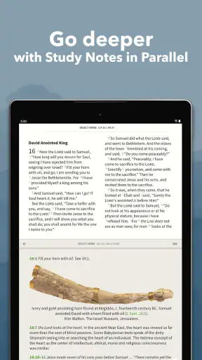 Bible App by Olive Tree screenshot 10