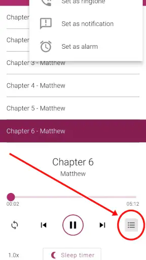 Bible NIV - Audio Bible App screenshot 5