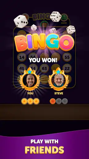 Bingo Dice screenshot 12