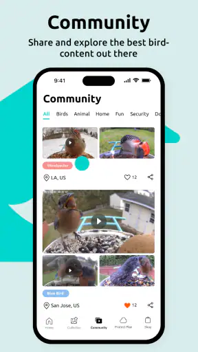 Birdfy screenshot 2