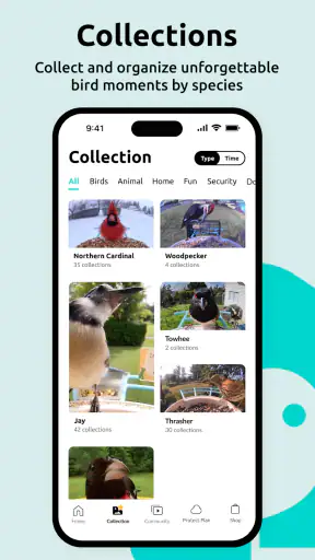 Birdfy screenshot 3