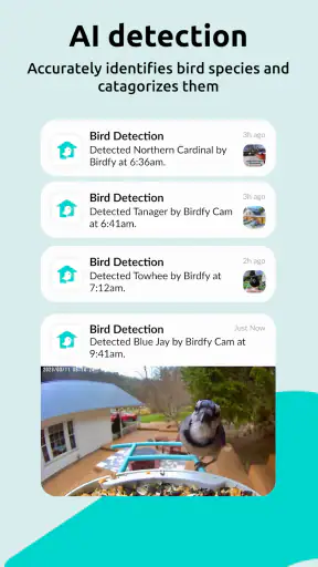 Birdfy screenshot 5