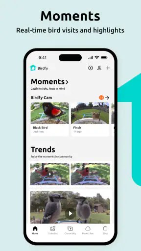 Birdfy screenshot 6