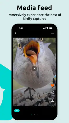 Birdfy screenshot 9