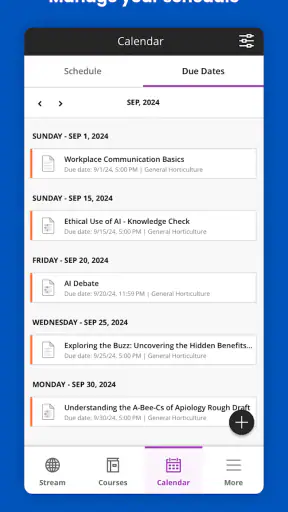Blackboard screenshot 5