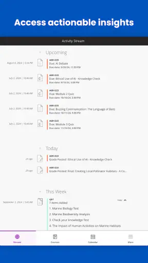 Blackboard screenshot 7