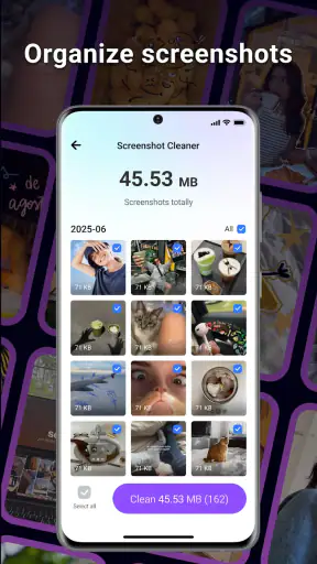 BlazeClean screenshot 5