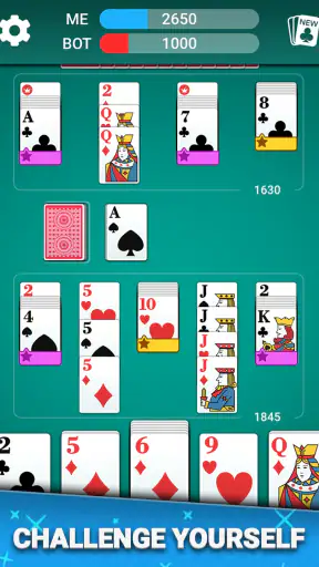 Canasta Card Game screenshot 8
