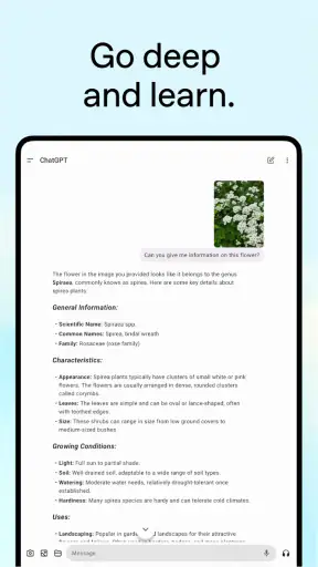 ChatGPT screenshot 10