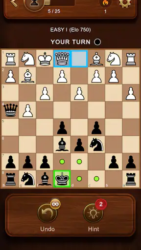 Chess Master: Board Game screenshot 9