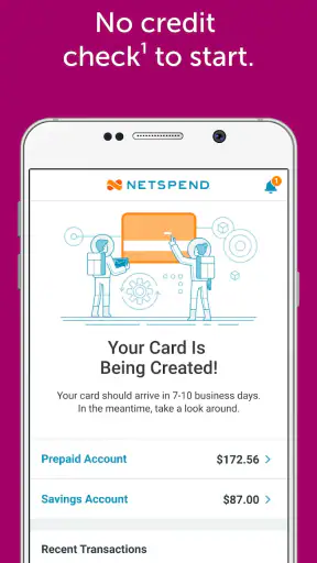 Netspend screenshot 2