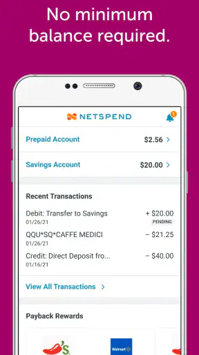 Netspend screenshot 3