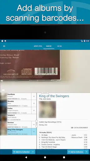 CLZ Music, CD/vinyl collection screenshot 11
