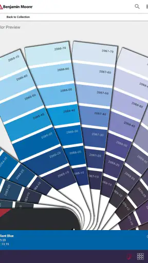 Color Portfolio screenshot 12