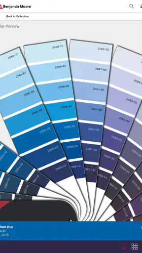 Color Portfolio screenshot 8