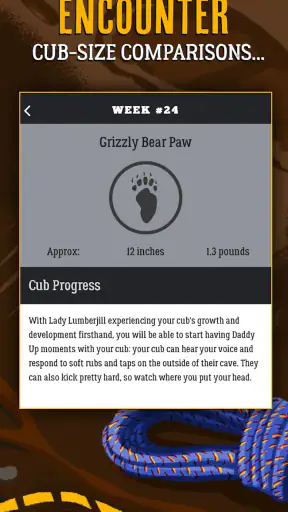 Dad Pregnancy Guide: Daddy Up screenshot 4