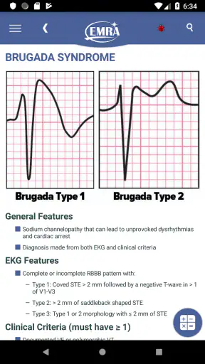 EMRA MobilEM screenshot 3