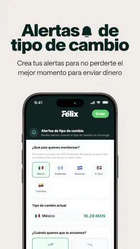 Félix Pago screenshot 4