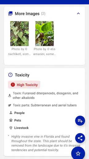 FFL Plants & Pollinators screenshot 5