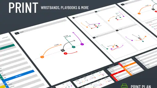 Flag Football Playmaker X screenshot 11