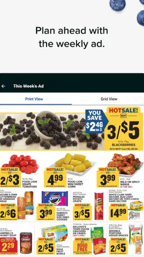 Food Lion screenshot 8