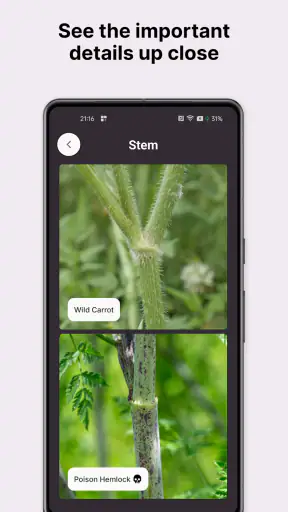 Gather: The Foraging App screenshot 3