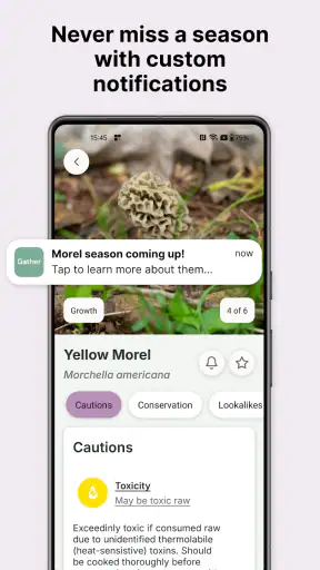 Gather: The Foraging App screenshot 5
