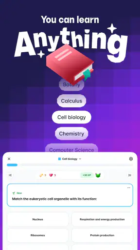 Gizmo: AI Flashcards and Tutor screenshot 11