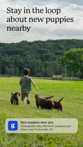 Good Dog: Find Your Puppy screenshot 10
