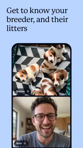 Good Dog: Find Your Puppy screenshot 4