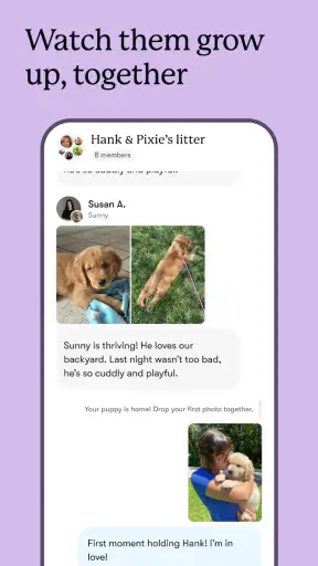 Good Dog: Find Your Puppy screenshot 6