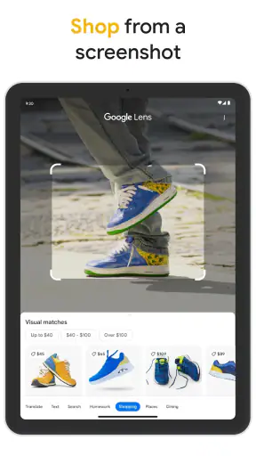 Google screenshot 9