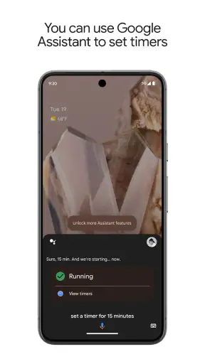 Google Assistant screenshot