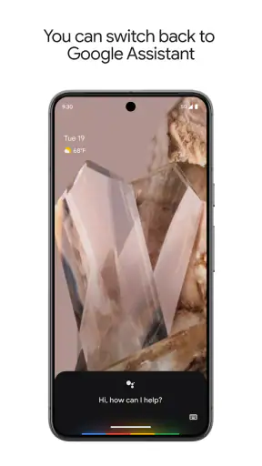 Google Assistant screenshot