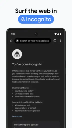 Google Chrome screenshot 6