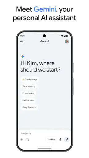 Google Gemini screenshot