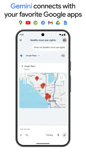 Google Gemini screenshot