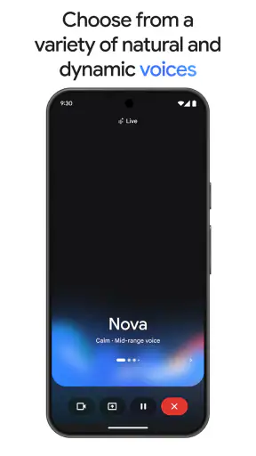 Google Gemini screenshot