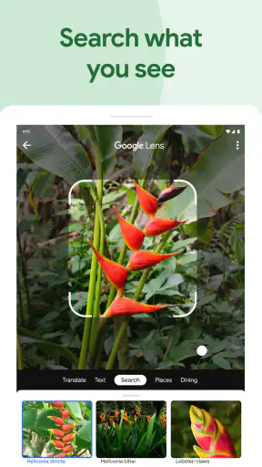 Google Photos screenshot 11