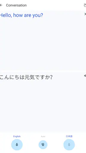 Google Translate screenshot 10