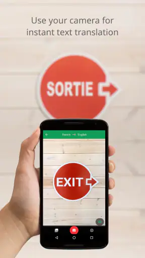 Google Translate screenshot 12