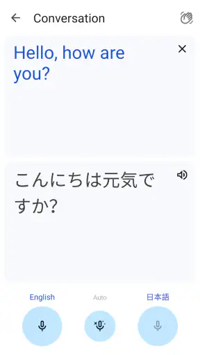 Google Translate screenshot