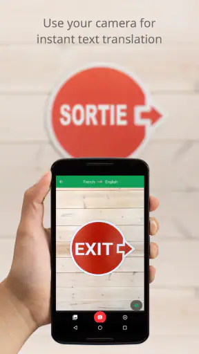Google Translate screenshot