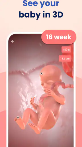 HiMommy: Pregnancy Tracker screenshot 2