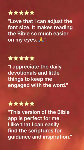 Holy Bible-Large Print screenshot 8