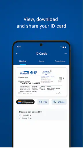 Horizon Blue screenshot 4